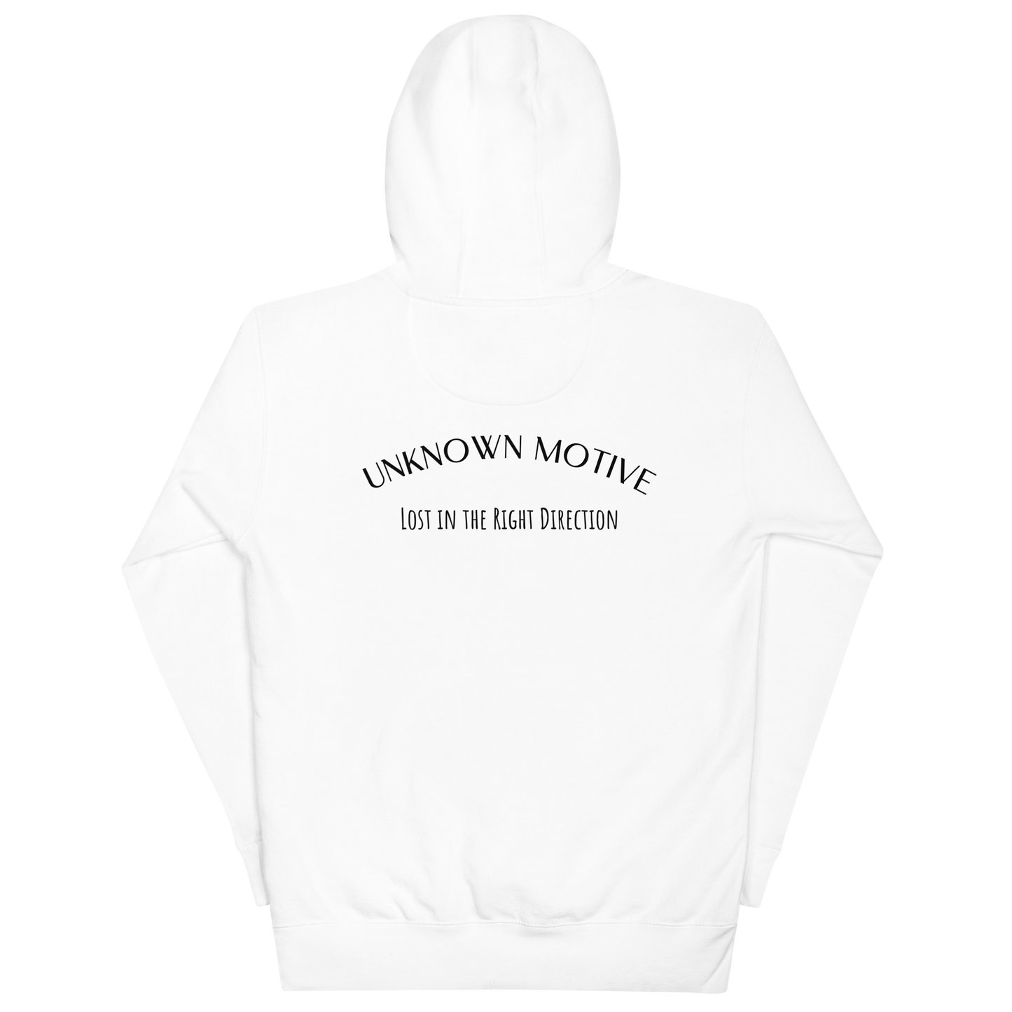 Lost in the right direction Hoodie